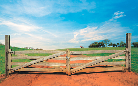 Agropecuária e Saúde Animal