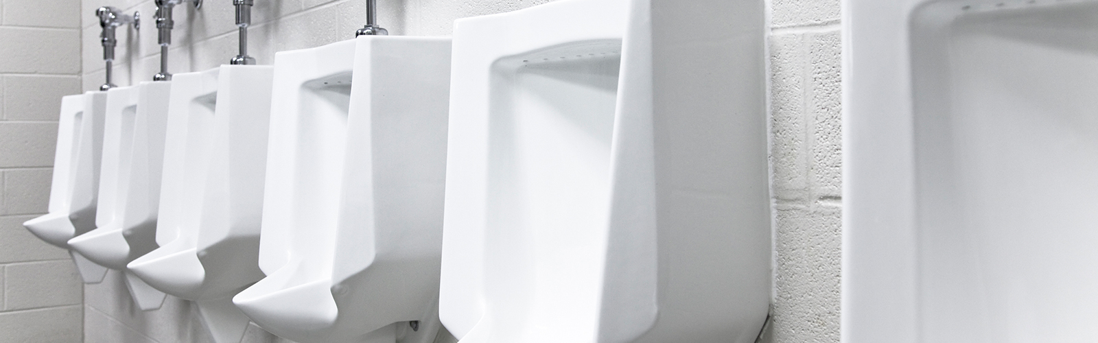 Higienização de Sanitários