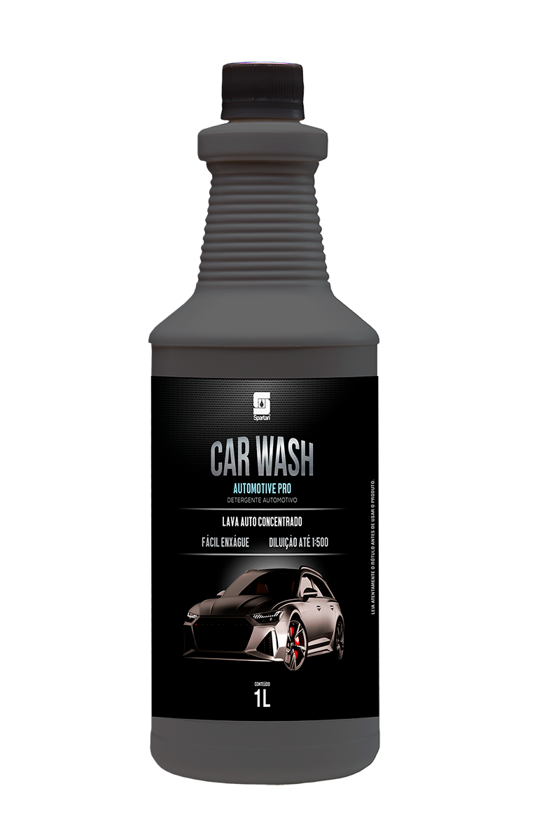 Car Wash Automotive Pro